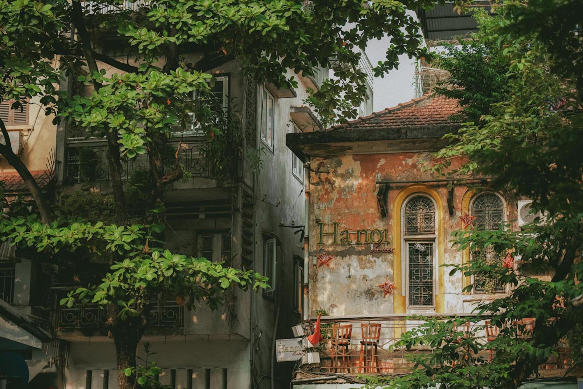 The Bloom Hanoi - Bespoke Living, Hanoi