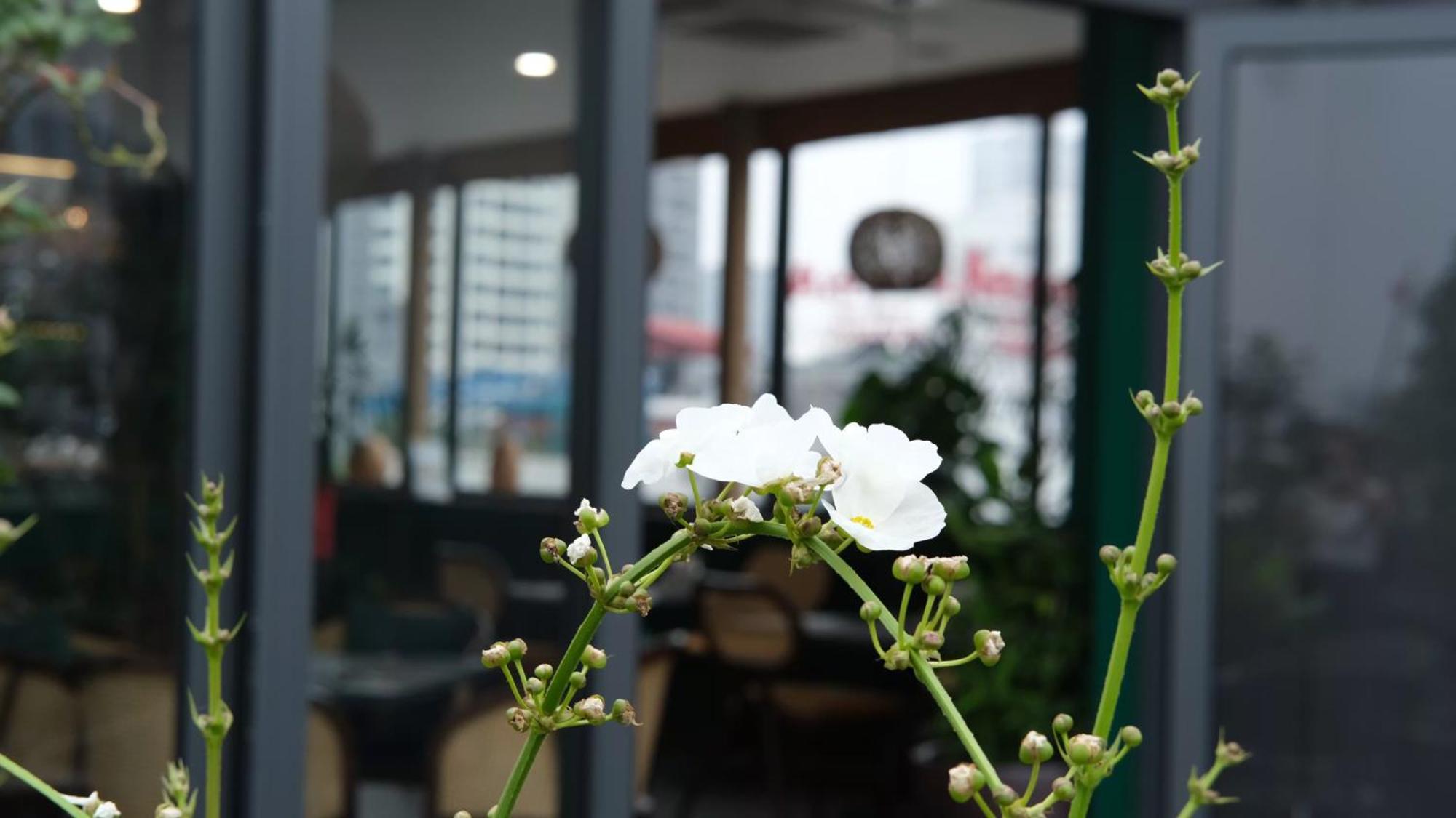The Bloom Hanoi - Bespoke Living — Photos 2